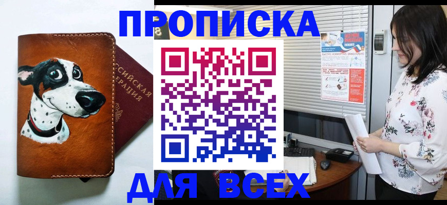 прописка паспорт в Вологде